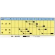 画像2: [大根]　おてごろ大根2号　20ｍｌ　トキタ種苗（株） (2)