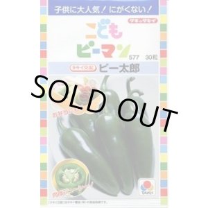 画像: 送料無料　[ピーマン]　こどもピーマン　ピー太郎　27粒　タキイ種苗(株)　DF