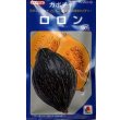 画像1: 送料無料　[かぼちゃ]　ロロン　100粒　タキイ種苗(株) (1)