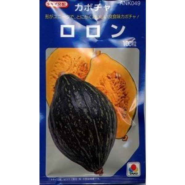 画像1: 送料無料 [かぼちゃ] ロロン 100粒 タキイ種苗(株) (1)