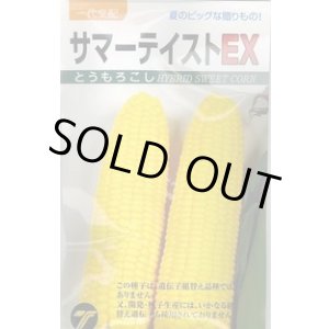 画像: 送料無料　[とうもろこし]　サマーテイストＥＸ　200粒　(株)タカヤマシード