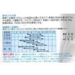 画像2: 送料無料　[とうもろこし]　サマーテイストＥＸ　200粒　(株)タカヤマシード (2)