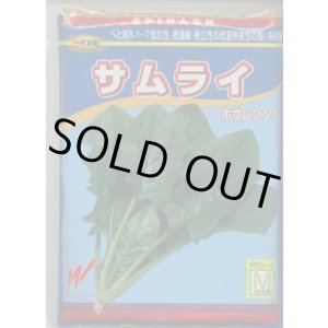 画像: [ほうれんそう]　サムライ　3万粒　渡辺交配