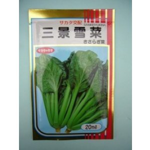 画像: 送料無料　三景雪菜　20ml　(株)サカタのタネ