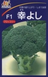 画像: [ブロッコリー] 幸よし 1.2ml 貴種(コートしてません) ヴィルモランみかど（株）
