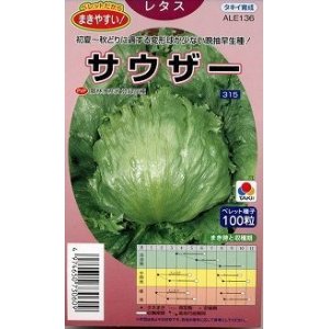 画像: [レタス]　サウザー　ペレット100粒　　タキイ種苗（株）