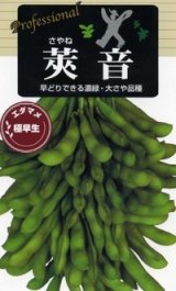 画像: 送料無料　[枝豆]　莢音　70ml(およそ150粒)　雪印種苗(株)