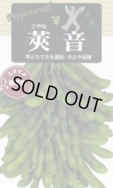 画像: 送料無料　[枝豆]　莢音　70ml(およそ150粒)　雪印種苗(株)