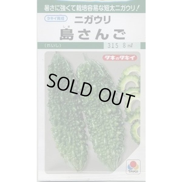 画像1: 送料無料　[ゴーヤ]　島さんご　7ml　タキイ種苗(株)　GF (1)
