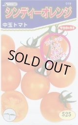 画像: [トマト/中玉トマト]　シンディーオレンジ　1000粒　(株)サカタのタネ
