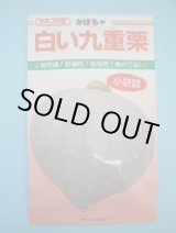 画像: 送料無料　[かぼちゃ]　白い九重栗　9粒　カネコ種苗（株）