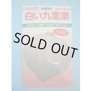 画像: 送料無料　[かぼちゃ]　白い九重栗　9粒　カネコ種苗（株）