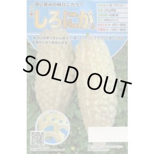 画像: 送料無料　[ゴーヤ]　しろにがくん　7粒　トキタ種苗(株)