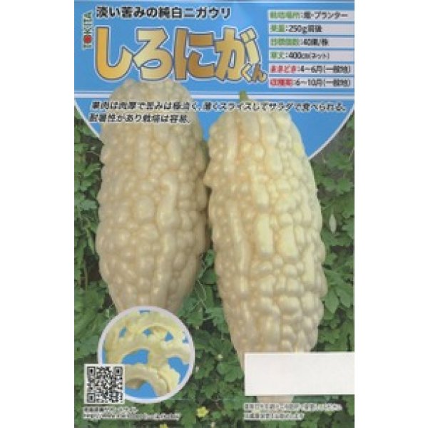 画像1: 送料無料　[ゴーヤ]　しろにがくん　100粒　トキタ種苗(株) (1)