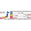 画像3: [葉物]　はなな　早陽一号　20ml　サカタ交配　 (3)