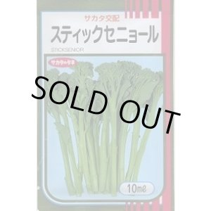 画像: 送料無料　[ブロッコリー]　スティックセニョール　10ml　(株)サカタのタネ