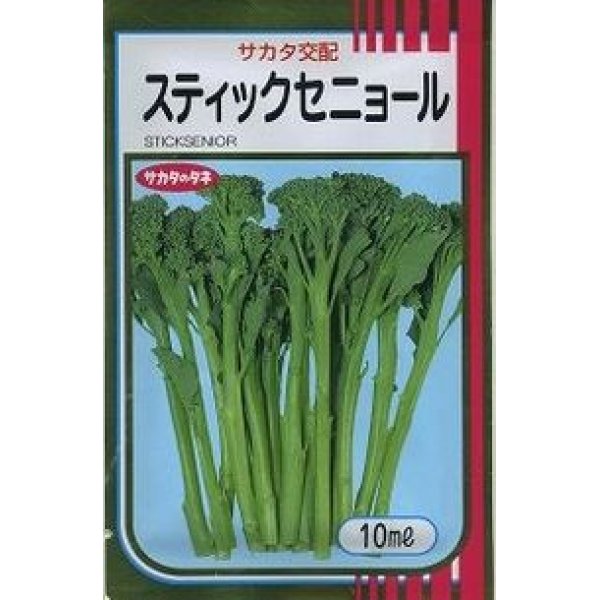 画像1: [ブロッコリー]　スティックセニョール　10ｍｌ　サカタ交配 (1)