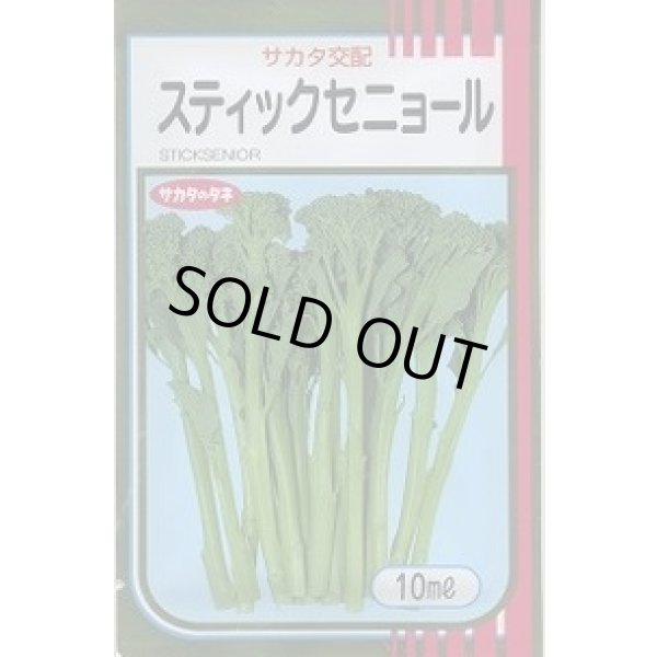 画像1: 送料無料　[ブロッコリー]　スティックセニョール　10ml（およそ1500粒）　(株)サカタのタネ (1)
