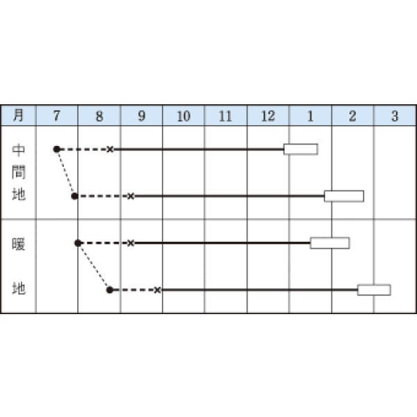 画像2: 送料無料　[カリフラワー]　スノードレス　1.2ml　タキイ種苗(株)　DF (2)