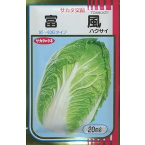 画像: 送料無料　[白菜]　富風　20ml　（株）サカタのタネ