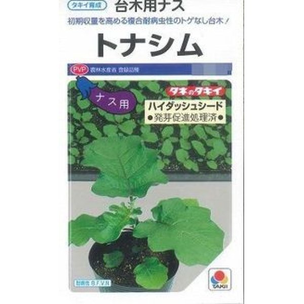 画像1: [台木/ナス用]　トナシム　1000粒　タキイ種苗（株） (1)