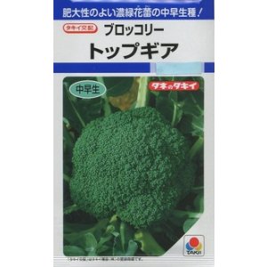 画像: [ブロッコリー]　トップギア　1.1ｍｌ 貴種（コートしてません）　タキイ種苗（株）　DF　