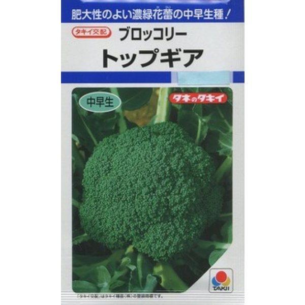 画像1: 送料無料　[ブロッコリー]　トップギア　1.1ml　貴種(コートしてません)　タキイ種苗(株)　DF (1)