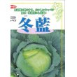 画像3: [キャベツ]　送料無料　冬藍　コート 5000粒　サカタ交配 (3)