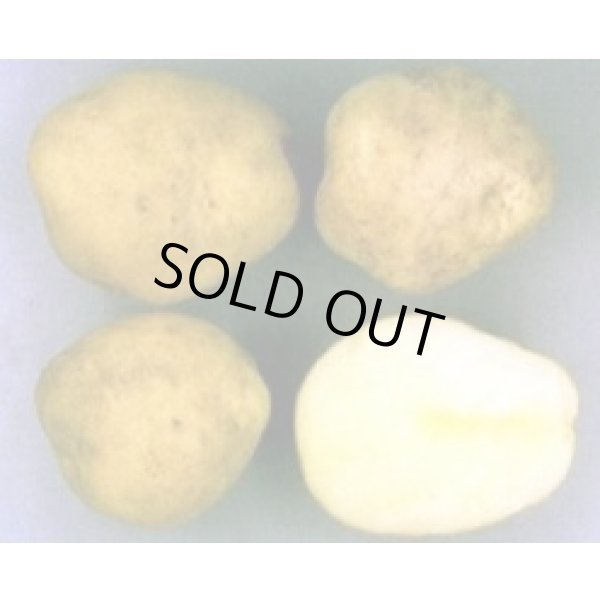 画像3: [いも類/じゃがいも]　とうや (3)