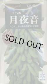 画像: 送料無料　[枝豆]　月夜音　70ml(およそ160粒)　雪印種苗(株)