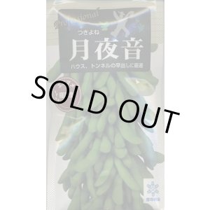 画像: 送料無料　[枝豆]　月夜音　70ml(およそ160粒)　雪印種苗(株)