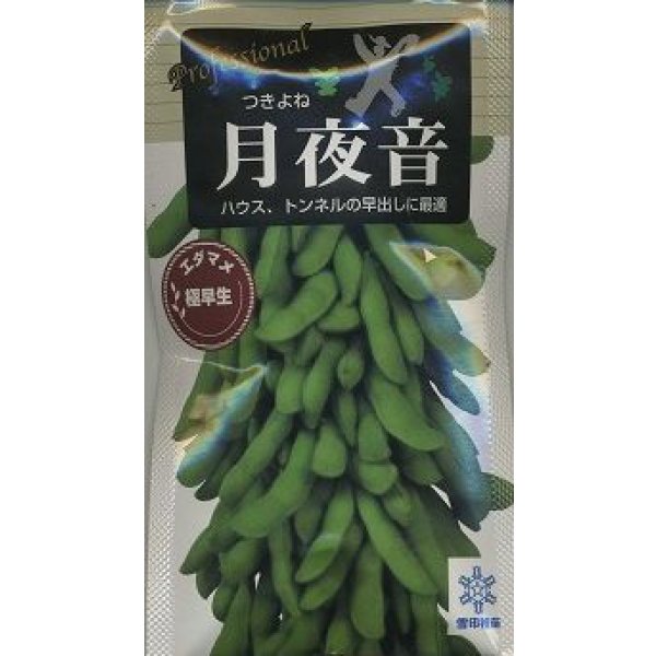 画像1: 送料無料　[枝豆]　月夜音　70ml(およそ160粒)　雪印種苗(株) (1)