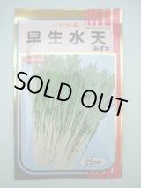 画像: みず菜 早生水天 20ml (株)サカタのタネ