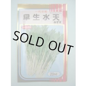 画像: みず菜 早生水天 20ml (株)サカタのタネ