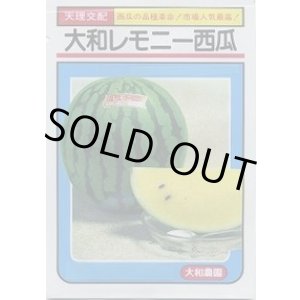 画像: 送料無料　[スイカ]　大玉スイカ　大和レモニー西瓜　6粒　大和農園