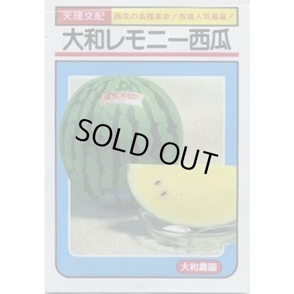 画像1: 送料無料　[スイカ]　大玉スイカ　大和レモニー西瓜　6粒　（株）大和農園 (1)