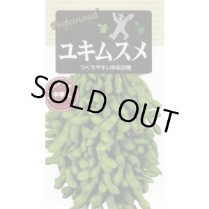 画像: 送料無料　[枝豆]　ユキムスメ　70ml(およそ140粒)　雪印種苗(株)
