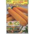 画像1: 送料無料　[ズッキーニ]　ゼルダ・ジャッロ　10粒　トキタ種苗(株) (1)