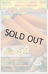 画像: 送料無料　[ズッキーニ]　ゼルダ・ジャッロ　10粒　トキタ種苗(株)