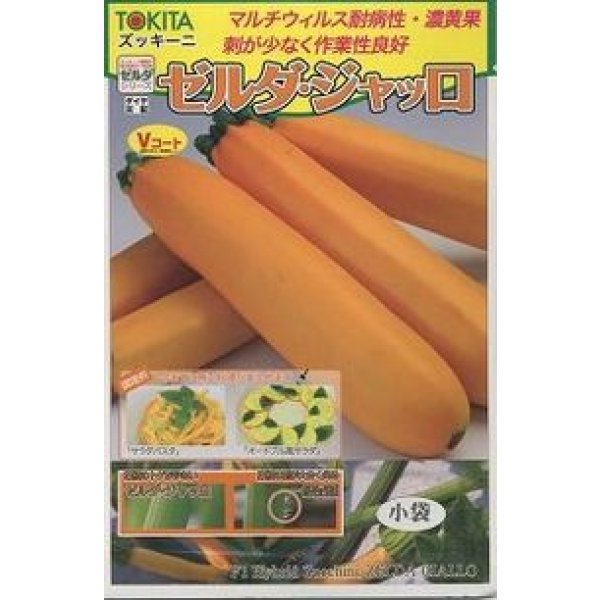 画像1: 送料無料　[ズッキーニ]　ゼルダ・ジャッロ　10粒　トキタ種苗(株) (1)