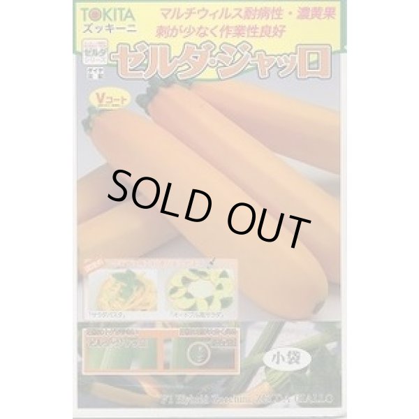 画像1: 送料無料　[ズッキーニ]　ゼルダ・ジャッロ　10粒　トキタ種苗(株) (1)