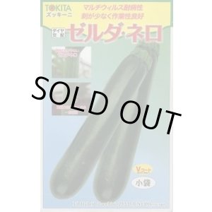 画像: 送料無料　[ズッキーニ]　ゼルダ・ネロ　10粒　トキタ種苗(株)