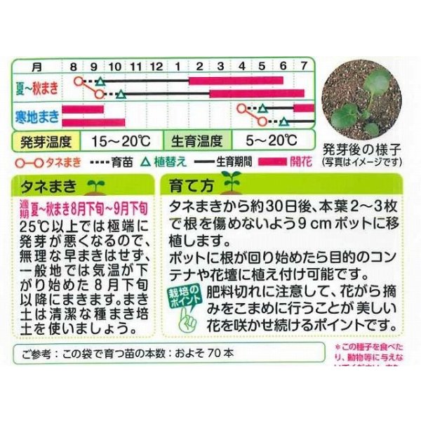 画像2: 送料無料　花の種　パンジー　シャロンジャイアント混合　0.3ml　タキイ種苗（株）NL200 (2)