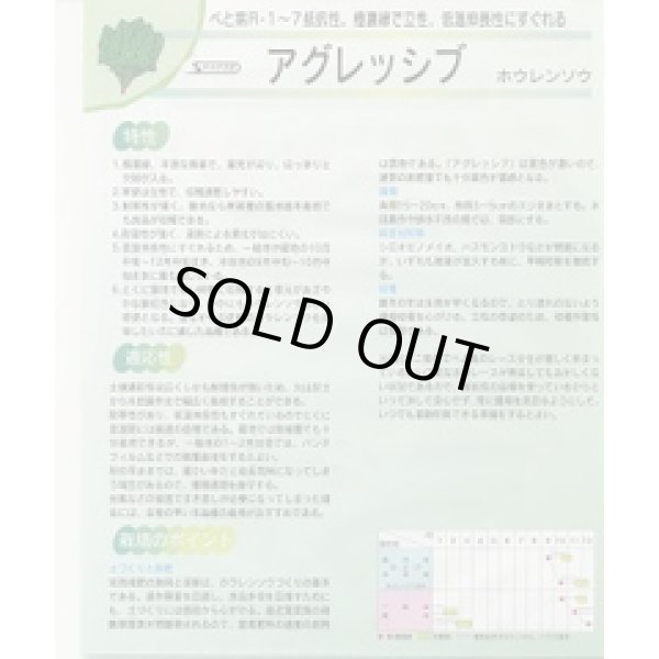 画像3: [ほうれんそう] アグレッシブ 種子サイズ：M 3万粒 （株）サカタのタネ (3)