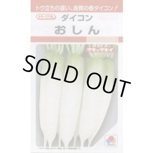 画像: 送料無料　[大根]　おしん　3.5ml　タキイ種苗(株)　RF