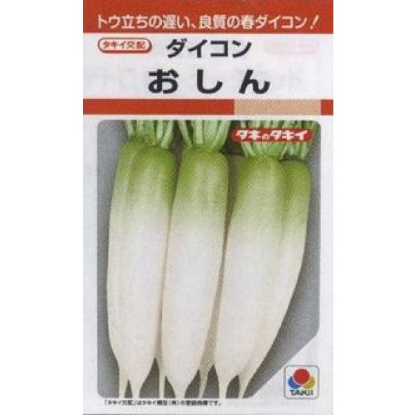 画像1: 送料無料　[大根]　おしん　3.5ml　タキイ種苗(株)　RF (1)