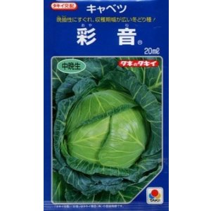 画像: 送料無料　[キャベツ]　彩音　2000粒　タキイ種苗(株)