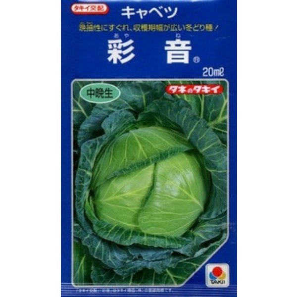 画像1: 送料無料　[キャベツ]　彩音　2000粒　タキイ種苗(株) (1)