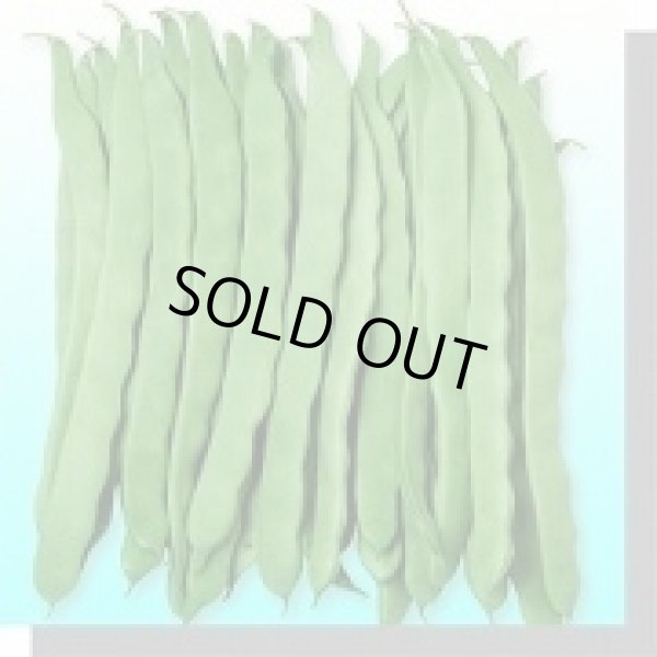 画像2: 送料無料　[いんげん]　ビックリジャンボ　30ml　ヴィルモランみかど（株） (2)