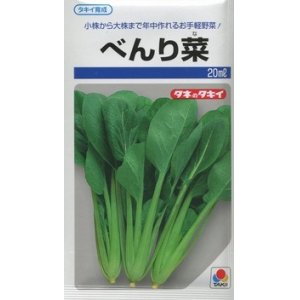 画像: [葉物]　べんり菜　20ｍｌ　タキイ種苗（株）